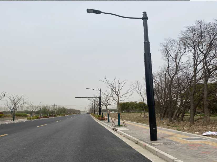 龙泉驿区上海综合杆 太阳能路灯工程